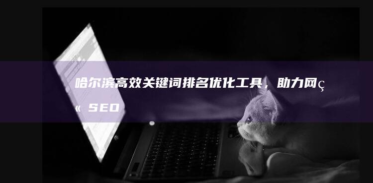 哈尔滨高效关键词排名优化工具，助力网站SEO优化提升